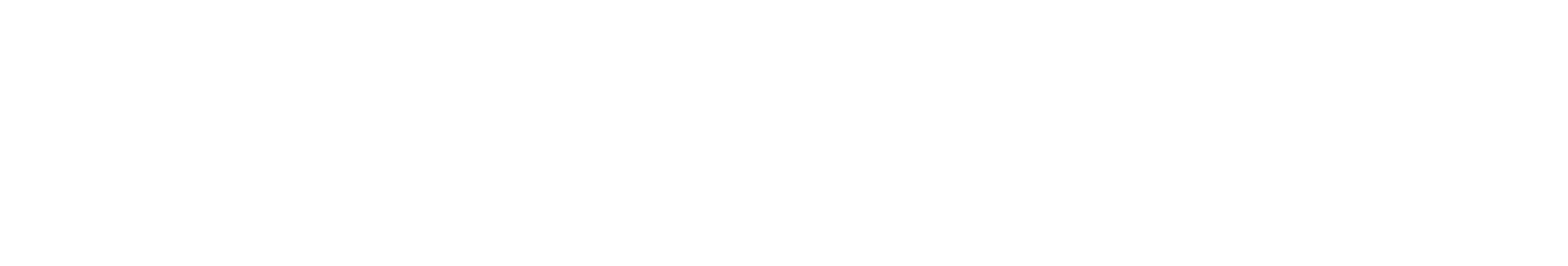Sonic Branding Logo